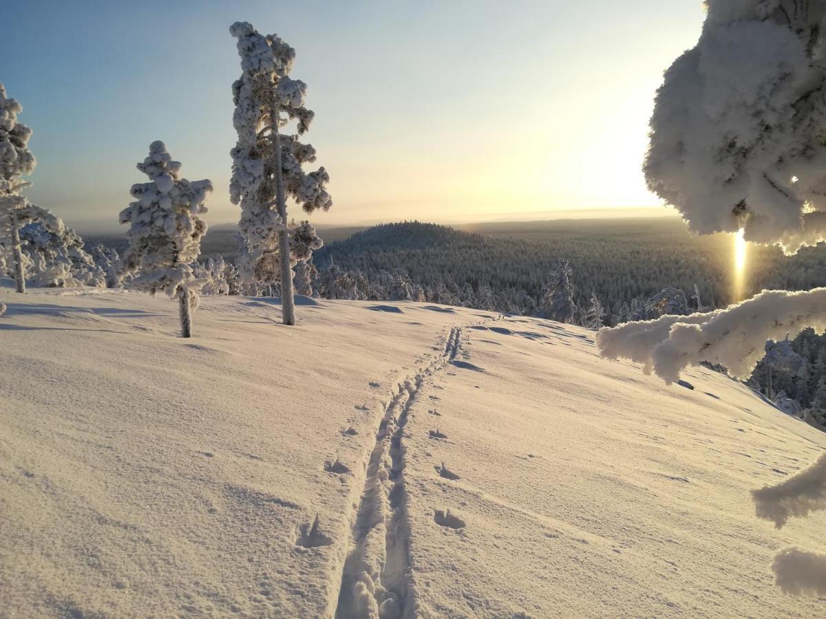 Raekkipirtti Villa Луосто Екстериор снимка